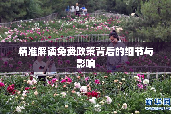 精准解读免费政策背后的细节与影响