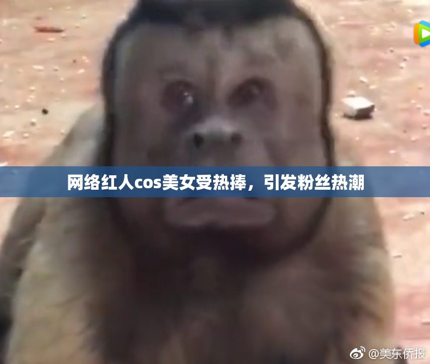 网络红人cos美女受热捧，引发粉丝热潮