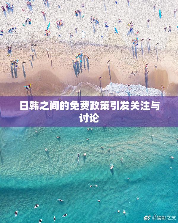 日韩之间的免费政策引发关注与讨论
