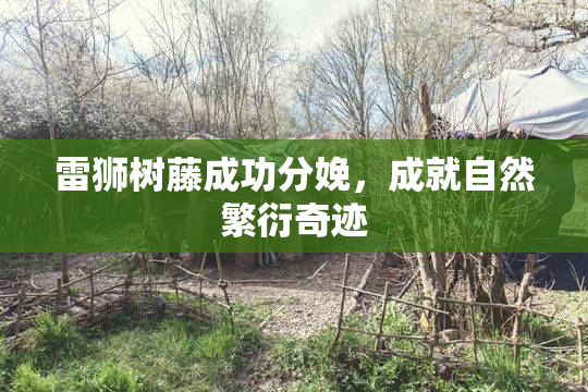 雷狮树藤成功分娩，成就自然繁衍奇迹