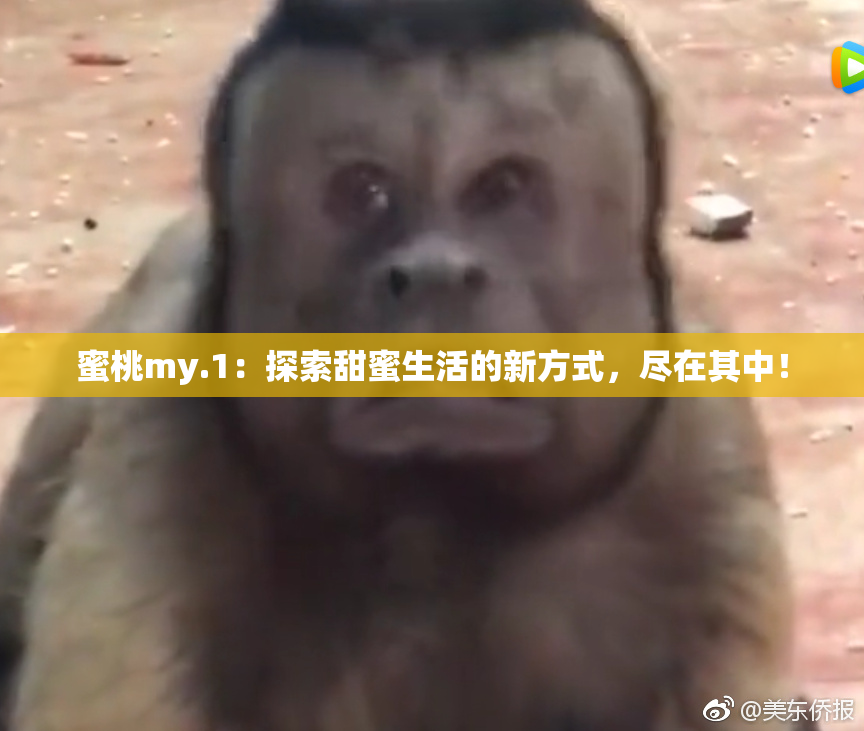 蜜桃my.1：探索甜蜜生活的新方式，尽在其中！