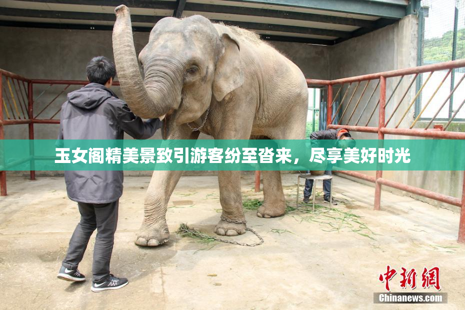 玉女阁精美景致引游客纷至沓来，尽享美好时光