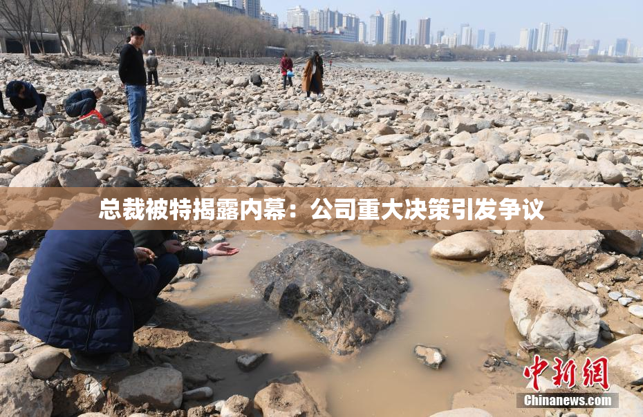 总裁被特揭露内幕：公司重大决策引发争议
