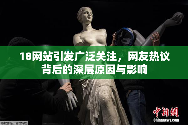 18网站引发广泛关注，网友热议背后的深层原因与影响
