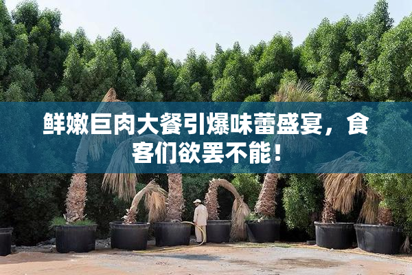 鲜嫩巨肉大餐引爆味蕾盛宴，食客们欲罢不能！