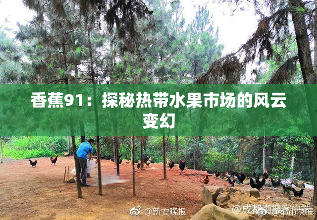 香蕉91：探秘热带水果市场的风云变幻