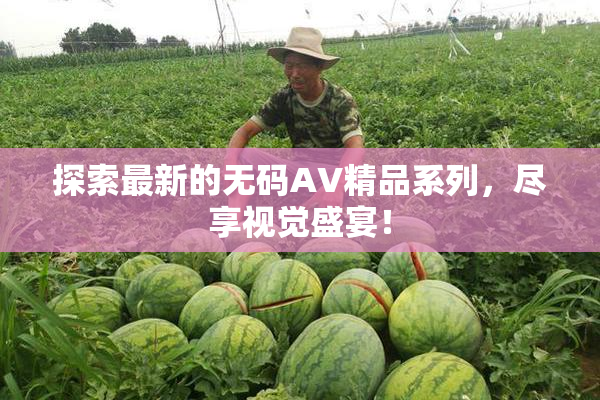 探索最新的无码AV精品系列，尽享视觉盛宴！