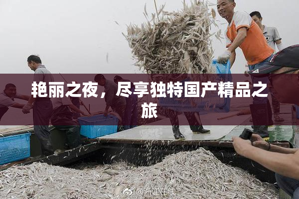 艳丽之夜，尽享独特国产精品之旅