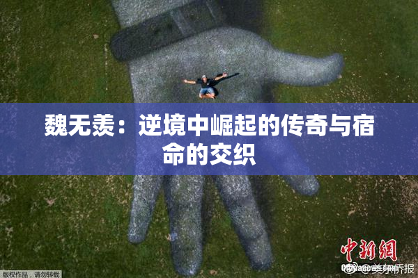 魏无羡：逆境中崛起的传奇与宿命的交织