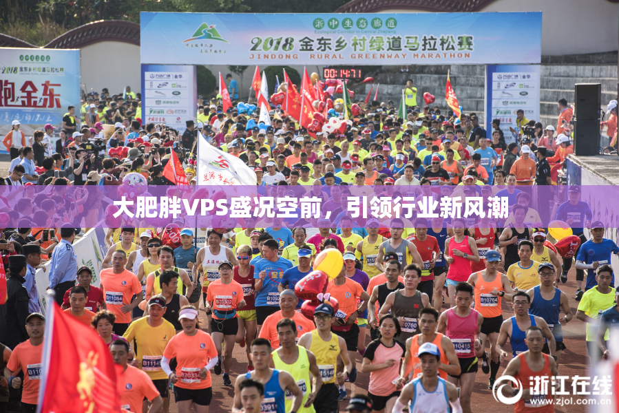 大肥胖VPS盛况空前，引领行业新风潮