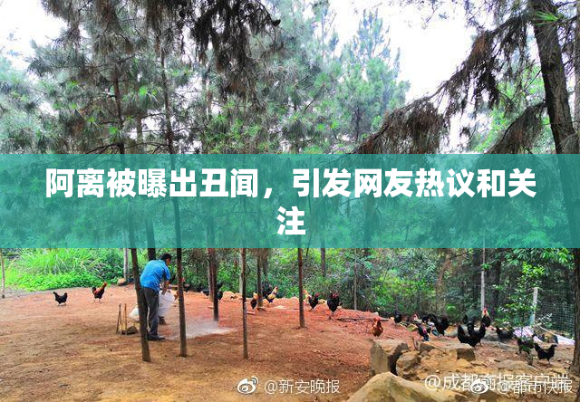 阿离被曝出丑闻，引发网友热议和关注