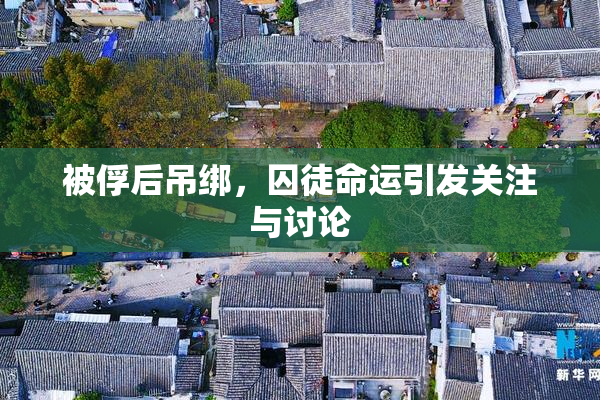 被俘后吊绑，囚徒命运引发关注与讨论