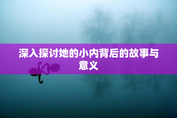 深入探讨她的小内背后的故事与意义