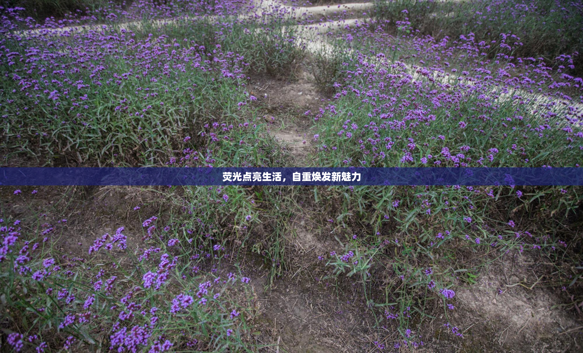 荧光点亮生活，自重焕发新魅力