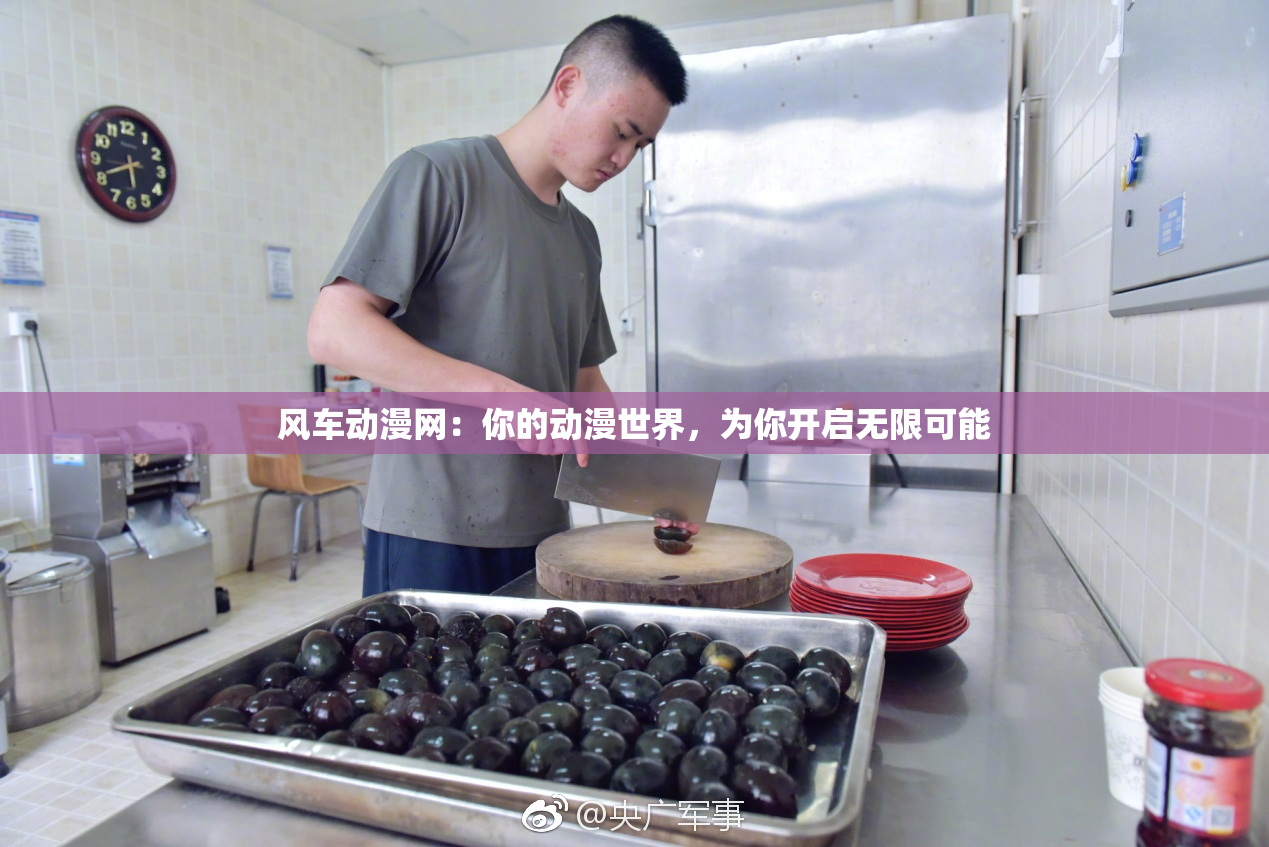 风车动漫网：你的动漫世界，为你开启无限可能