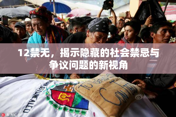 12禁无，揭示隐藏的社会禁忌与争议问题的新视角