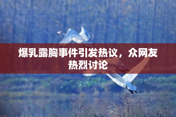爆乳露胸事件引发热议，众网友热烈讨论