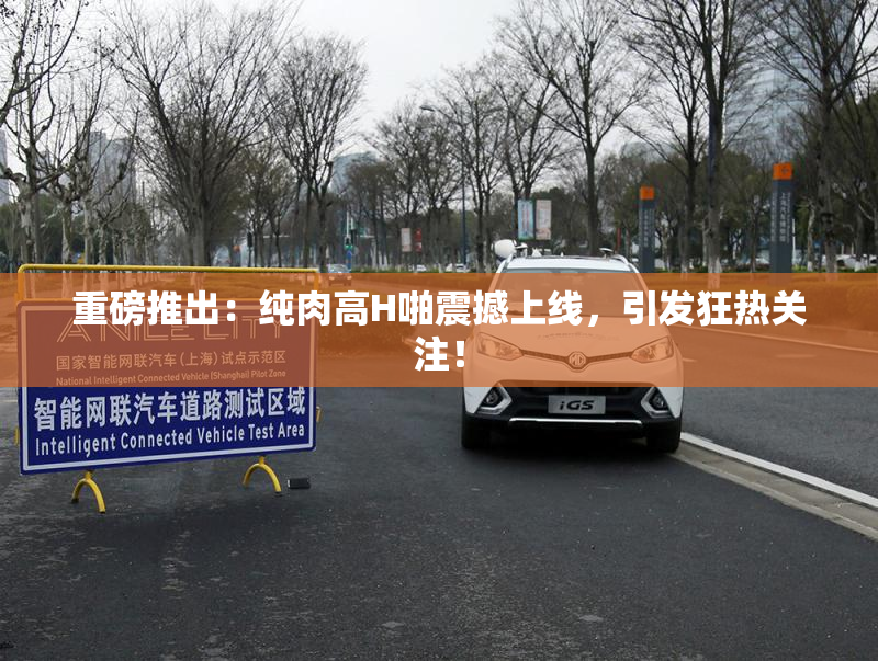 重磅推出：纯肉高H啪震撼上线，引发狂热关注！