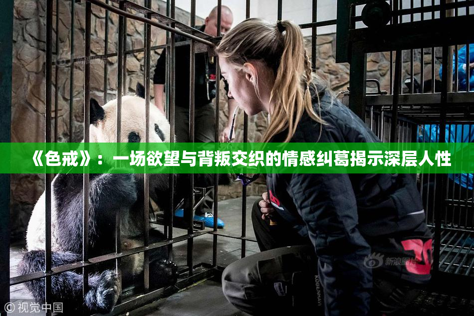 《色戒》：一场欲望与背叛交织的情感纠葛揭示深层人性