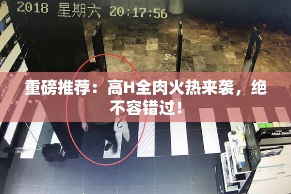 重磅推荐：高H全肉火热来袭，绝不容错过！