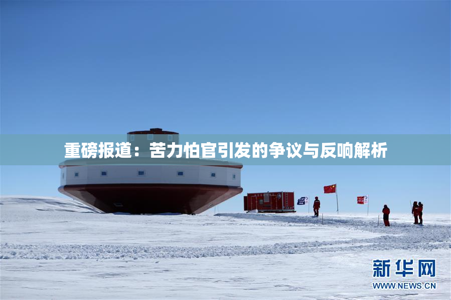 重磅报道：苦力怕官引发的争议与反响解析