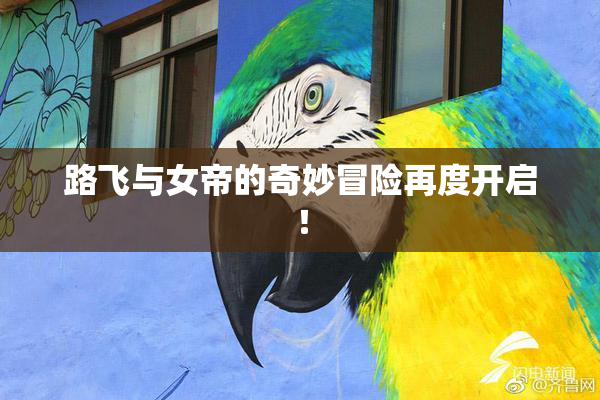 路飞与女帝的奇妙冒险再度开启！