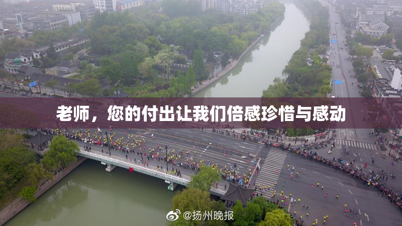 老师，您的付出让我们倍感珍惜与感动