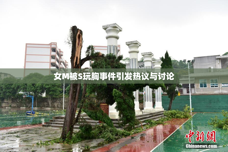 女M被S玩胸事件引发热议与讨论
