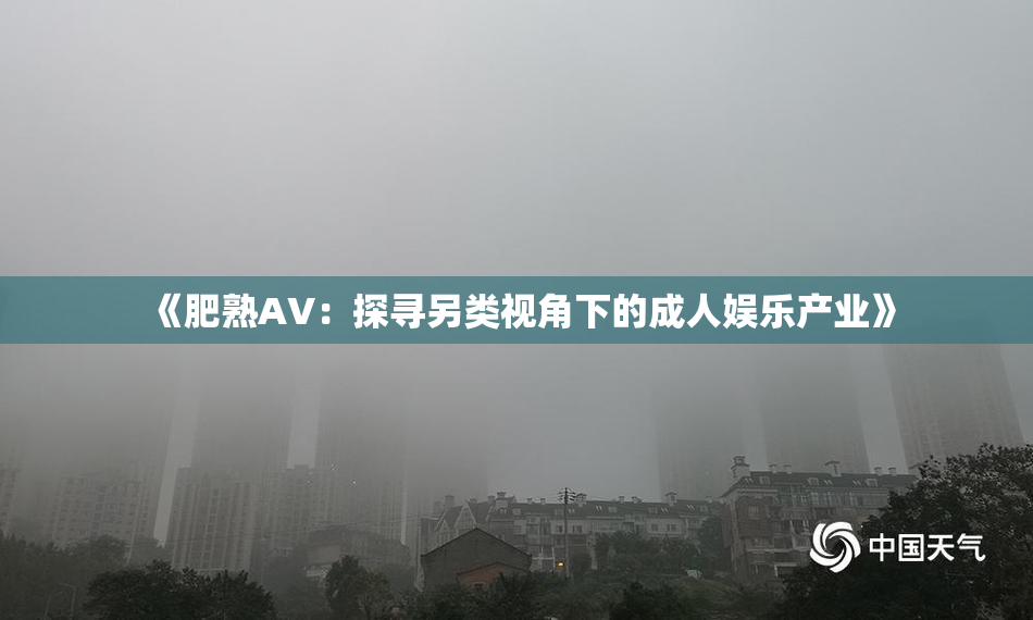 《肥熟AV：探寻另类视角下的成人娱乐产业》