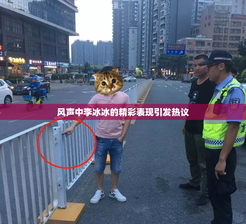 风声中李冰冰的精彩表现引发热议