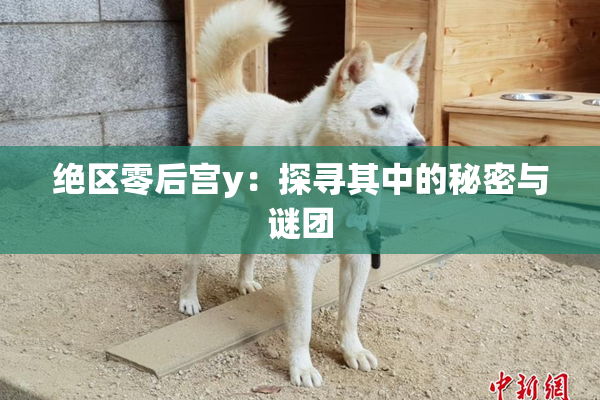 绝区零后宫y：探寻其中的秘密与谜团
