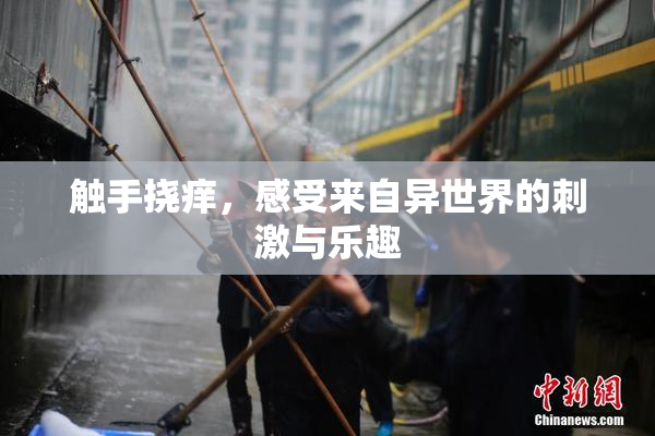 触手挠痒，感受来自异世界的刺激与乐趣