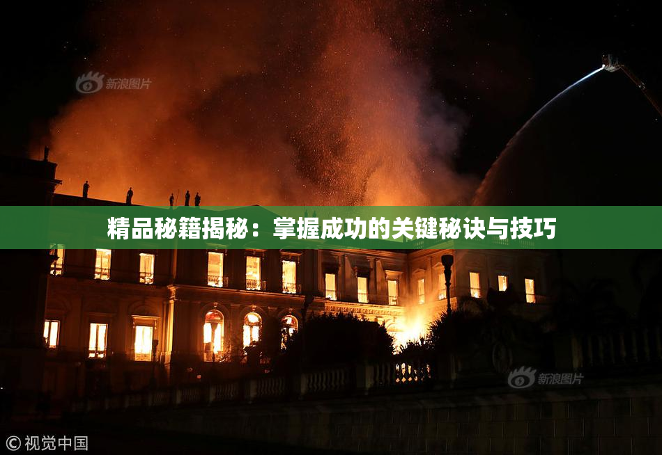 精品秘籍揭秘：掌握成功的关键秘诀与技巧