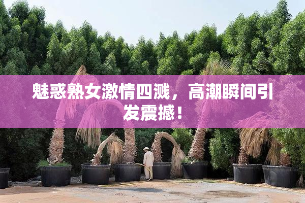 魅惑熟女激情四溅，高潮瞬间引发震撼！