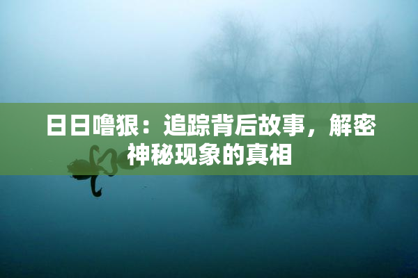日日噜狠：追踪背后故事，解密神秘现象的真相
