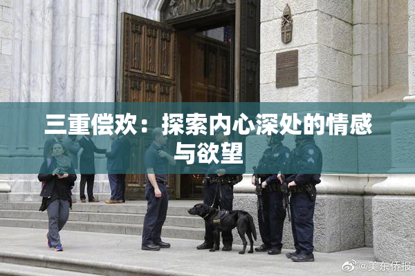 三重偿欢：探索内心深处的情感与欲望
