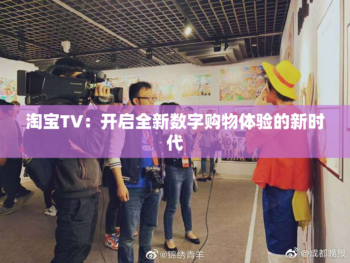 淘宝TV：开启全新数字购物体验的新时代