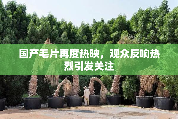 国产毛片再度热映，观众反响热烈引发关注