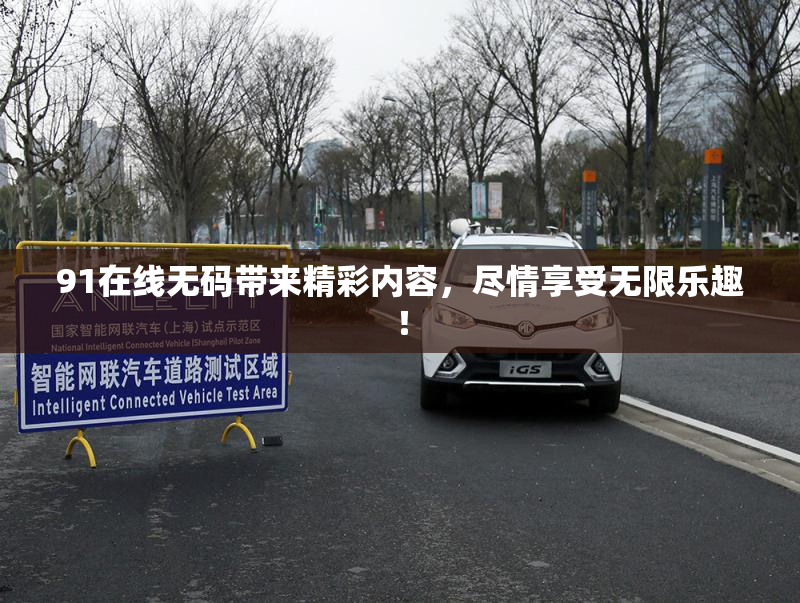 91在线无码带来精彩内容，尽情享受无限乐趣！