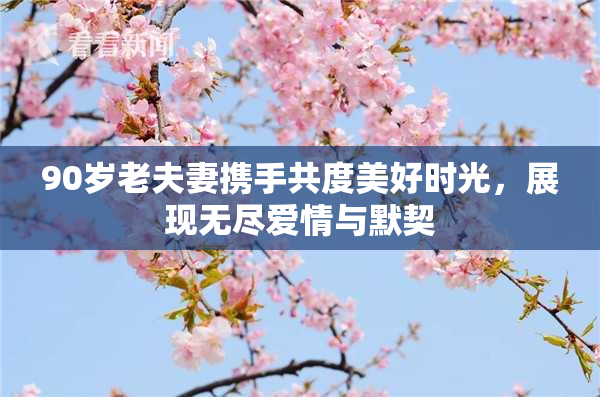 90岁老夫妻携手共度美好时光，展现无尽爱情与默契