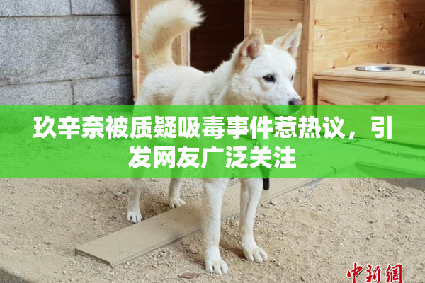 玖辛奈被质疑吸毒事件惹热议，引发网友广泛关注