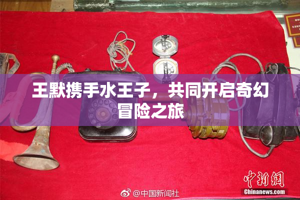 王默携手水王子，共同开启奇幻冒险之旅