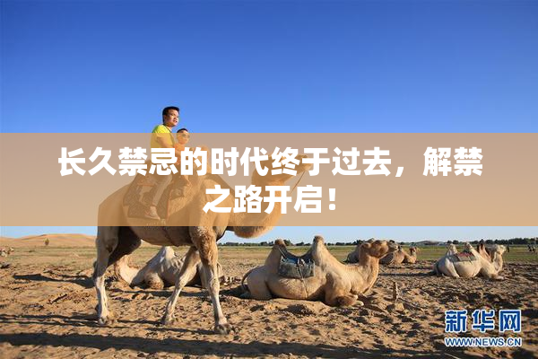 长久禁忌的时代终于过去，解禁之路开启！
