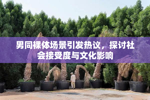 男同裸体场景引发热议，探讨社会接受度与文化影响