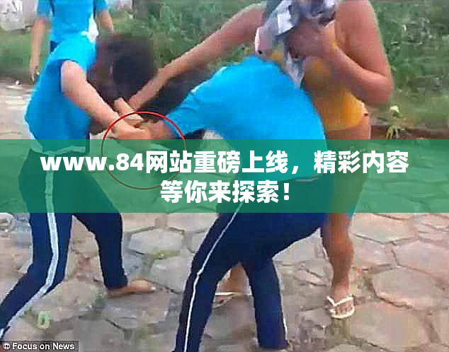 www.84网站重磅上线，精彩内容等你来探索！