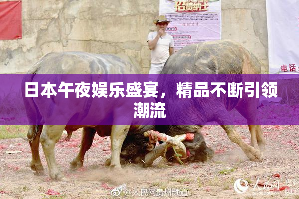 日本午夜娱乐盛宴，精品不断引领潮流