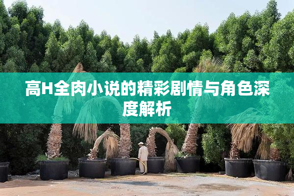 高H全肉小说的精彩剧情与角色深度解析