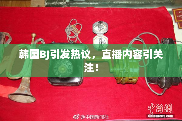 韩国BJ引发热议，直播内容引关注！
