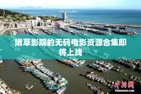 嫩草影院的无码电影资源合集即将上线
