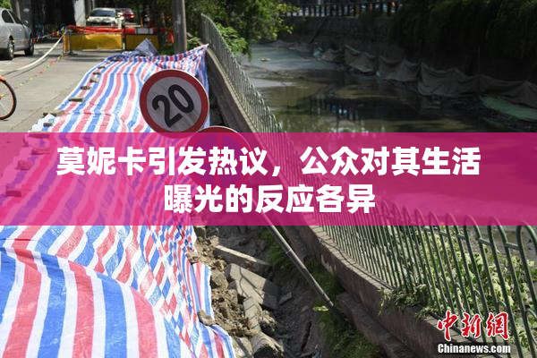 莫妮卡引发热议，公众对其生活曝光的反应各异
